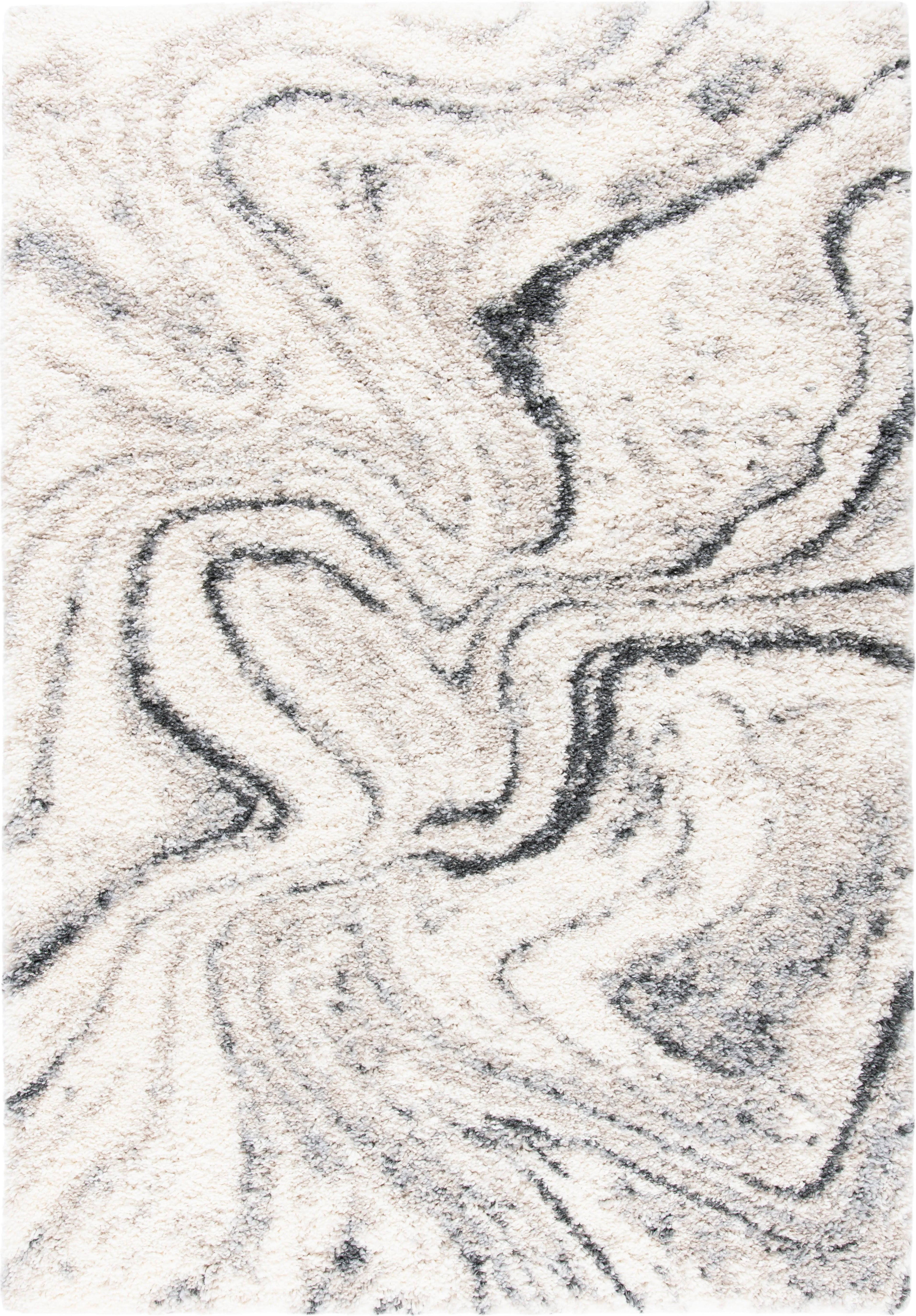 Safavieh Fontana Shag FNT848A Ivory - Grey 4' x 6' Area Rug